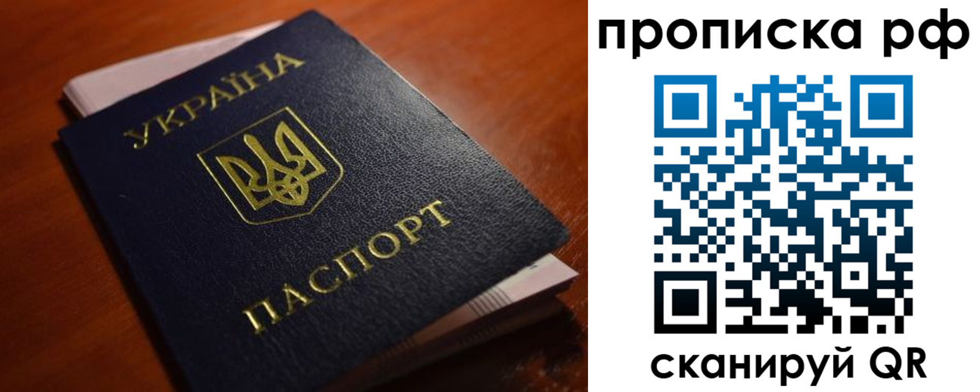 временная регистрация поиск в Мытищах